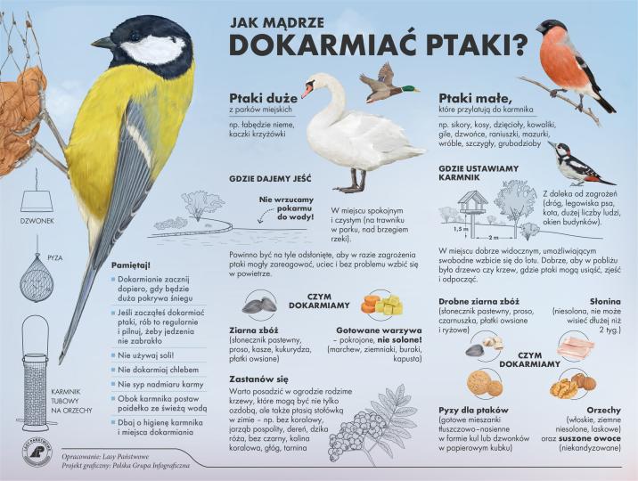 Infografika&#x20;dokarmianie&#x20;ptaków