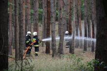 Strażacy ćwiczyli w lesie