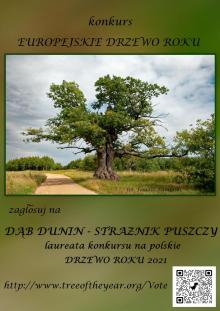 Konkurs na Europejskie Drzewo Roku
