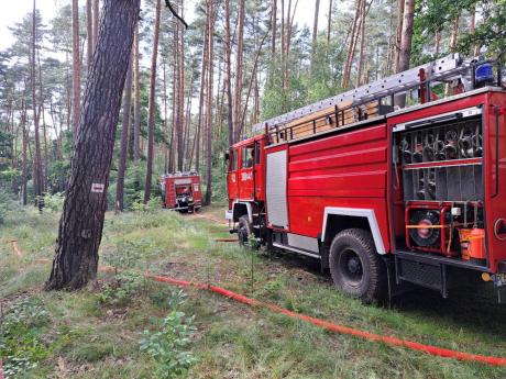 Ćwiczenia Straży Pożarnej i Leśników