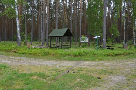 fot&#x2e;Marek&#x20;Wąsowicz